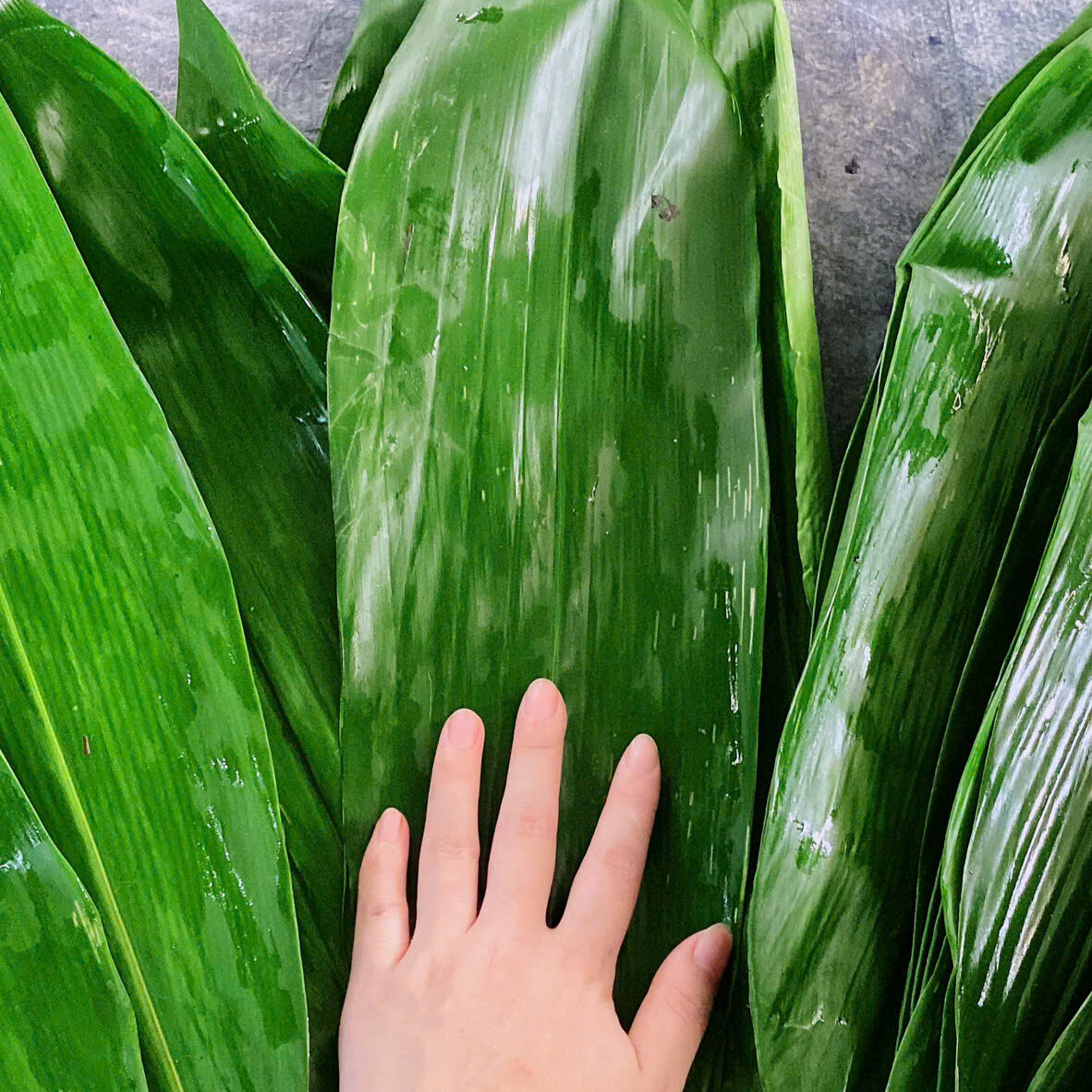 158b7e2f-a2c2-4c46-8db9-423cdd315c60