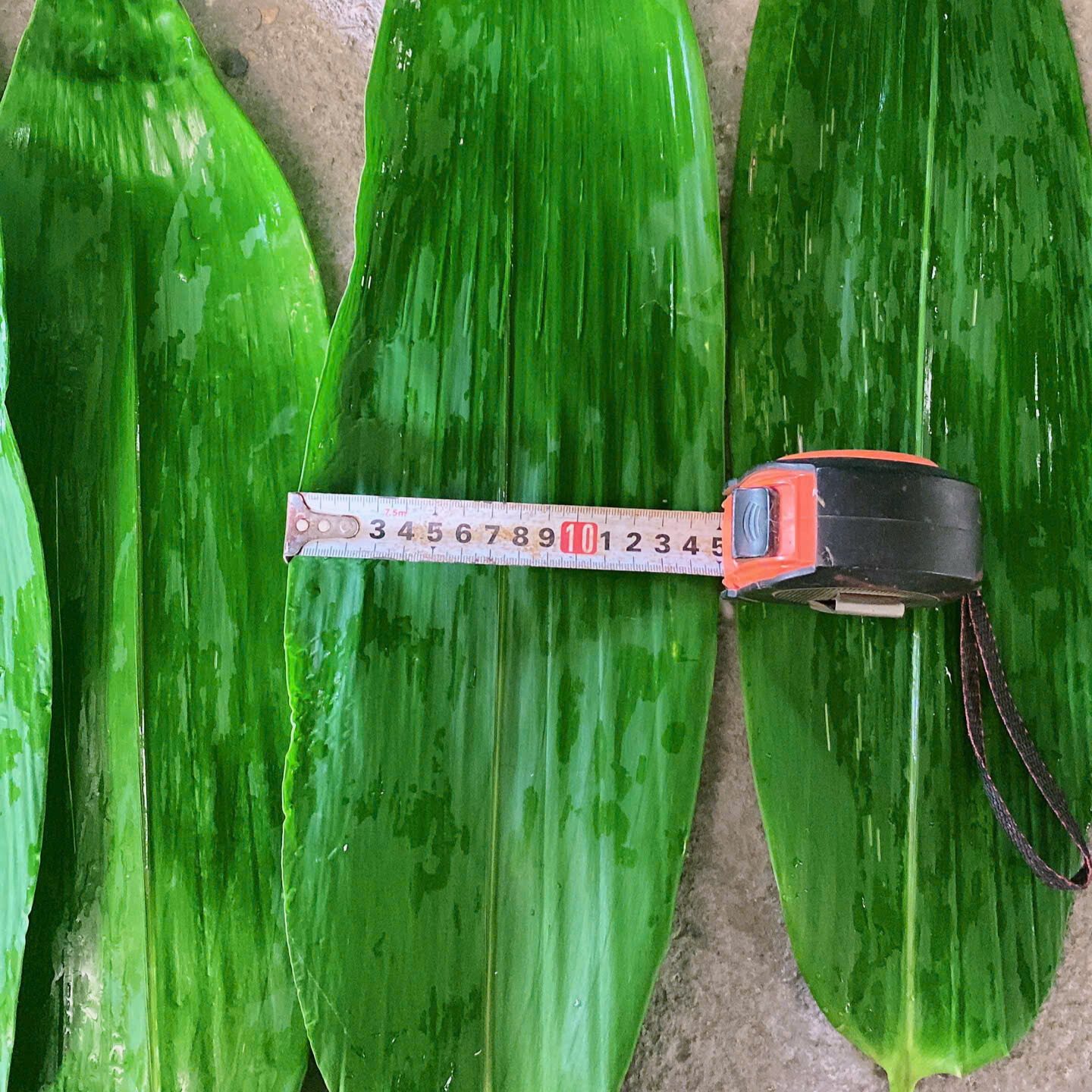 5ecb92b0-7e06-41d8-80f8-88c9974bc851