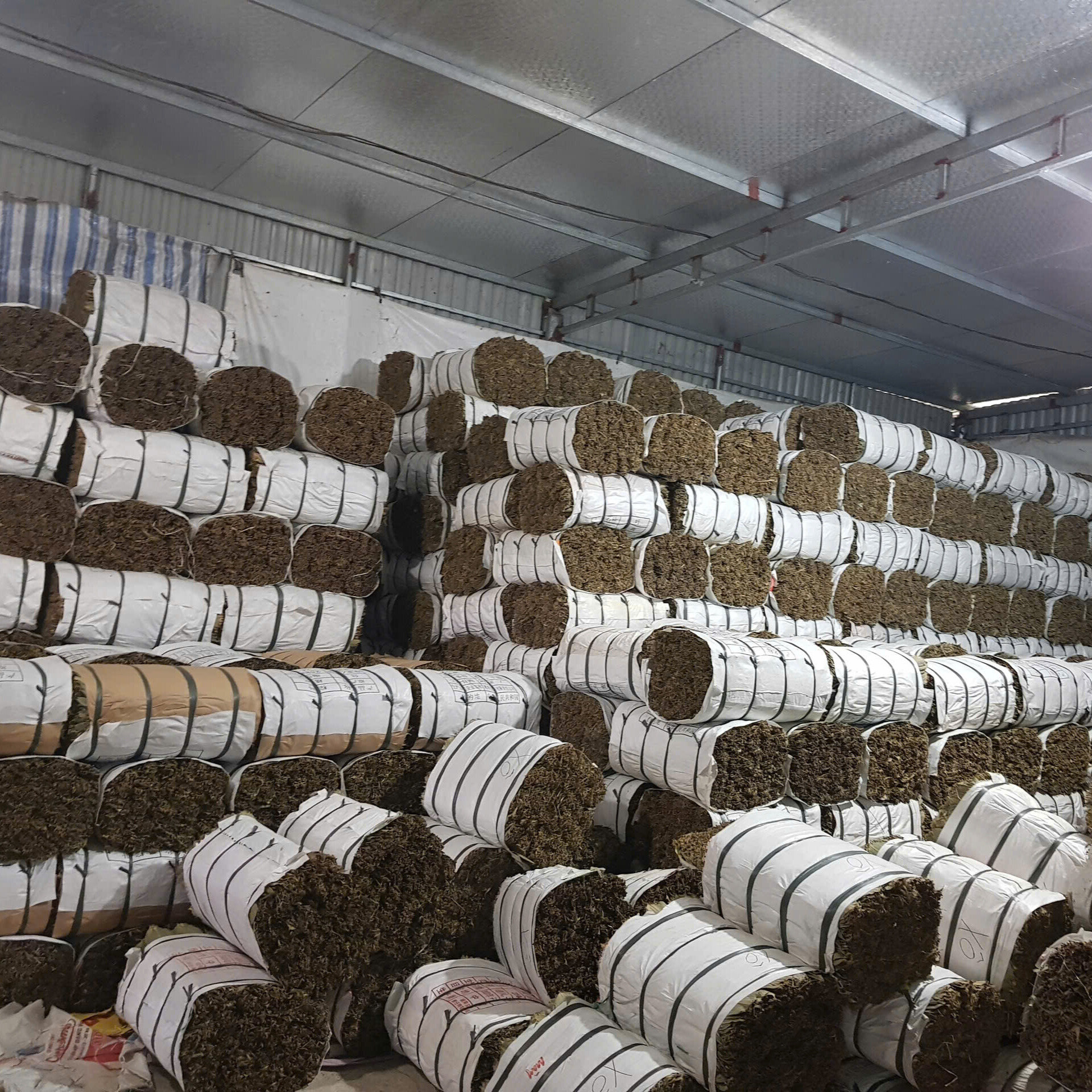 704f9000-165a-41ea-95f4-f2480e5ec2b1