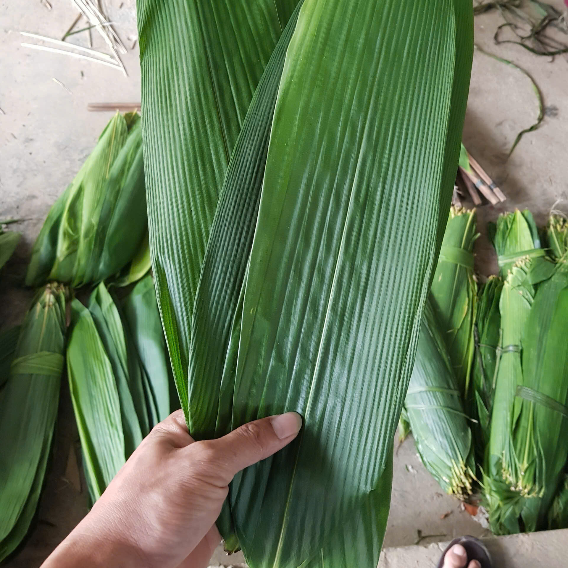 b121579c-efe2-40a0-bd03-10c4b77d4716