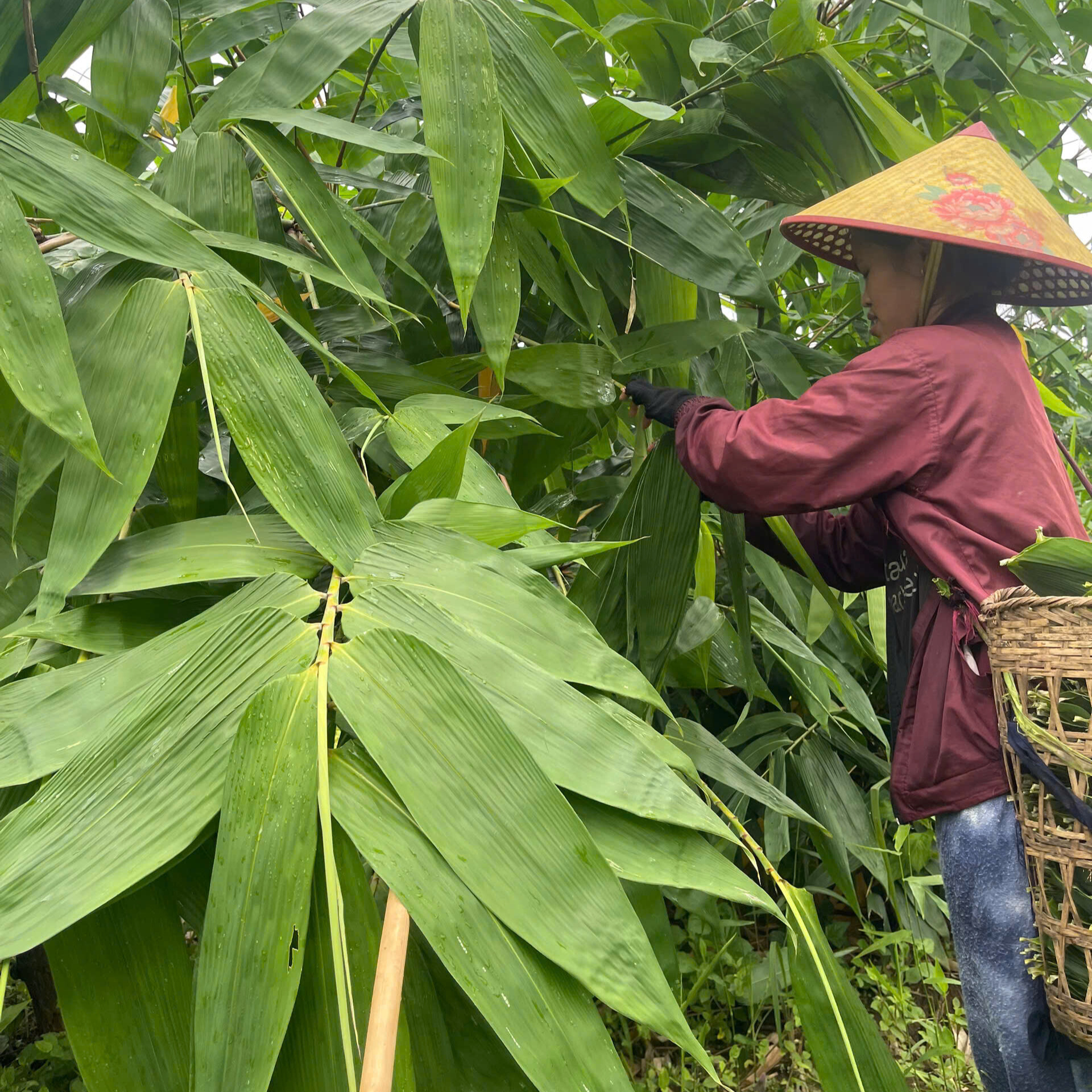 b609e3d5-40cf-4204-901b-e2d9239b939d