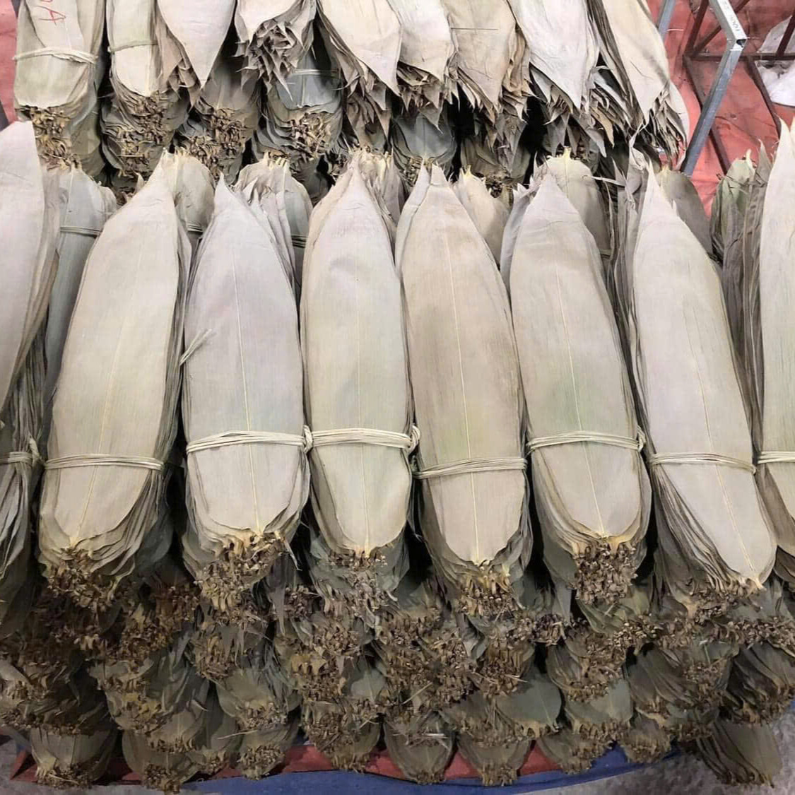 cfc84a24-d67b-4741-a4e6-3a4035eee6cb