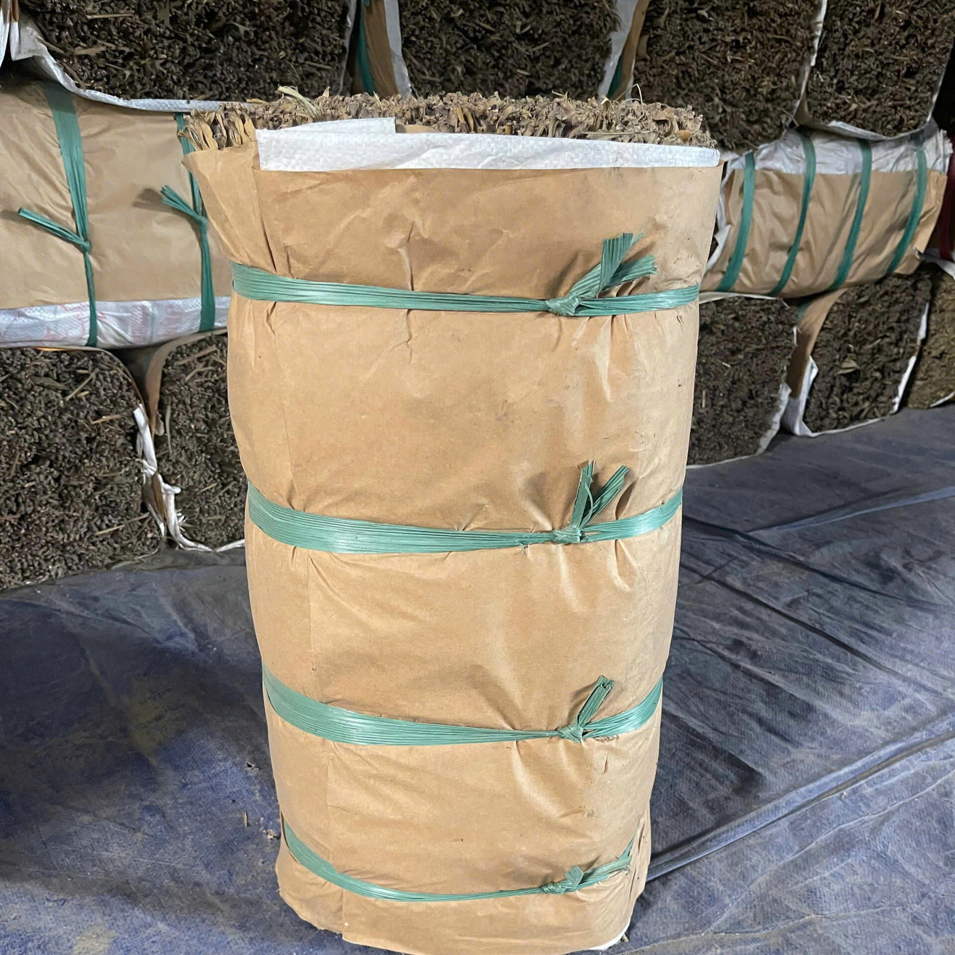 d9ba8996-4c0c-4ea4-892f-c1d89db077ee